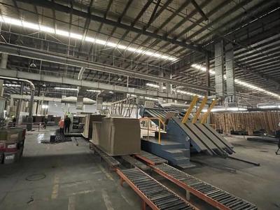 金山的她，榮登上海市表彰名單 紙制品銷售領(lǐng)域的卓越典范