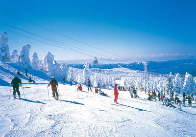 西柏坡滑雪場 國內(nèi)旅游經(jīng)營服務的新標桿