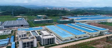 簽約28個項目引資381億，肇慶綠色農副產品集散基地強勢崛起，賦能國內旅游服務升級