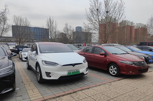 新能源新車漲更漲，二手反而香更香——車探零零玖帶你洞察二手車收購新機遇